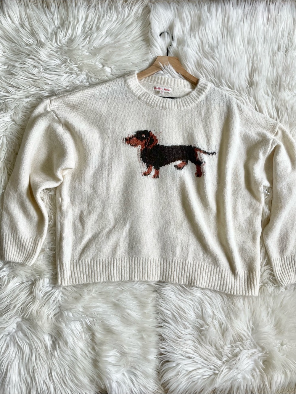 Bailey Rose Women's Cream Soft Ribbed Knit Graphic Dog Lover Sweater Medium NWT - Picture 11 of 16